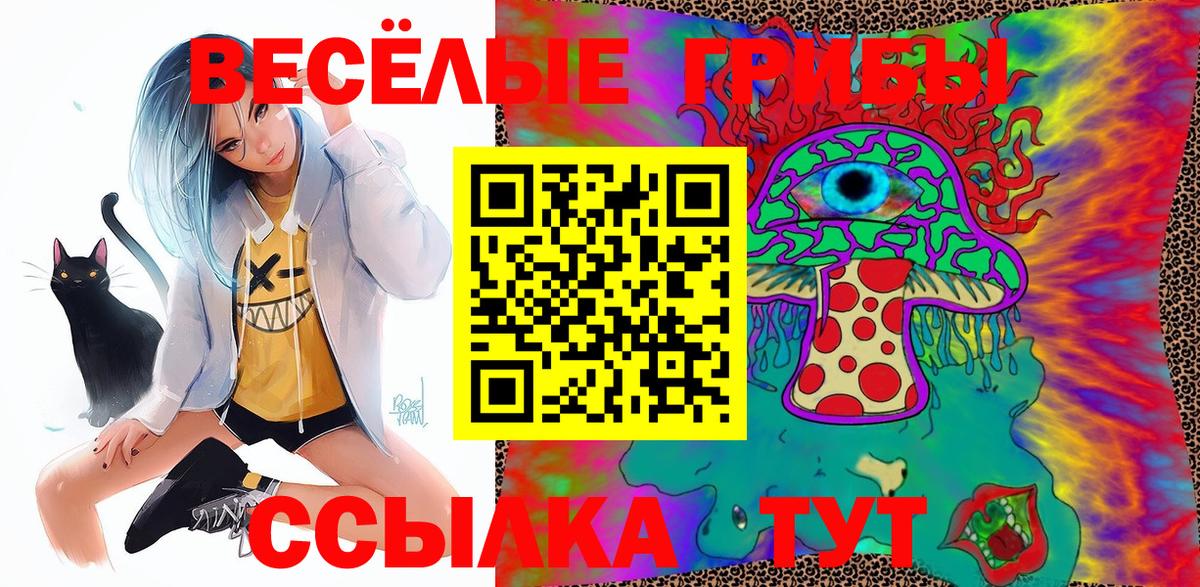 Псилоцибиновые грибы ЛСД  Вход с VPN  Звенигород  Псилоцибиновые грибы Psilocybine cubensis 
