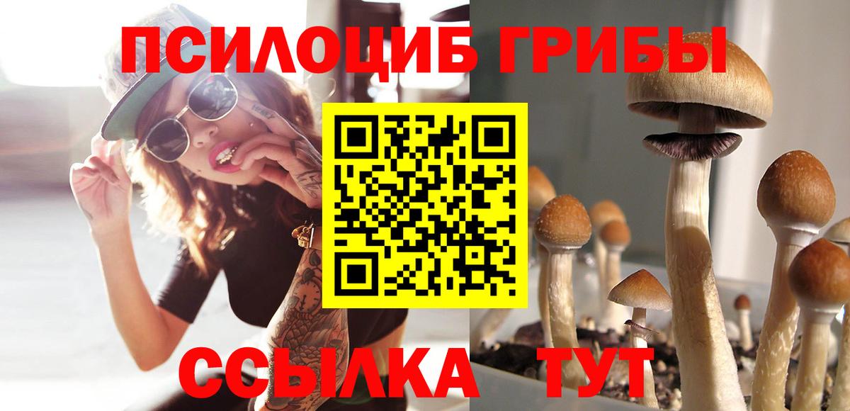 Галлюциногенные грибы Magic Shrooms Звенигород
